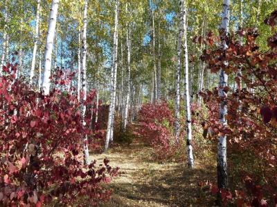 Прикрепленное изображение: вап.jpg